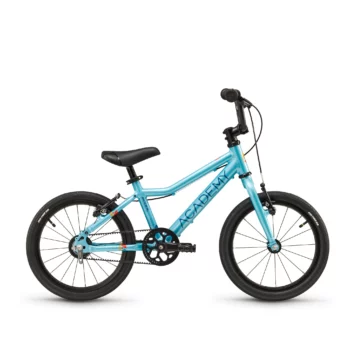 ACADEMY Grade 3 Belt